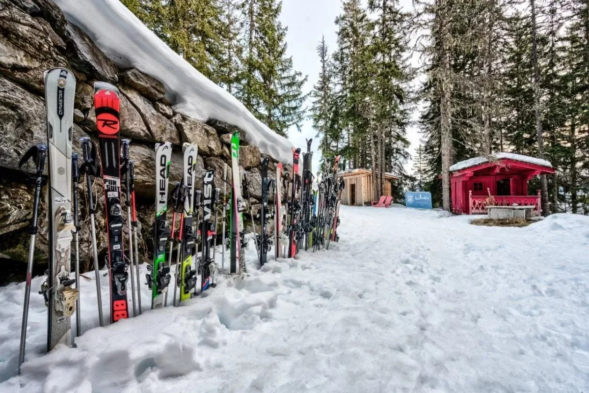 Le Ski Room